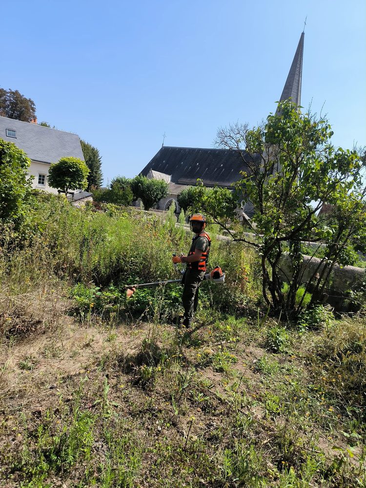 Débroussaillage d'un terrain