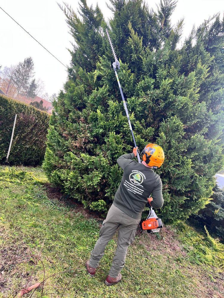 Taille de haie en hauteur
